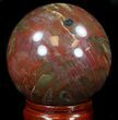 Colorful Petrified Wood Sphere #36956-1
